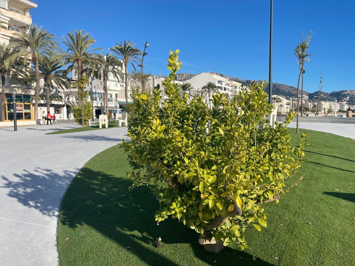 Apartamento Alteagroup Centro Buitenkant foto
